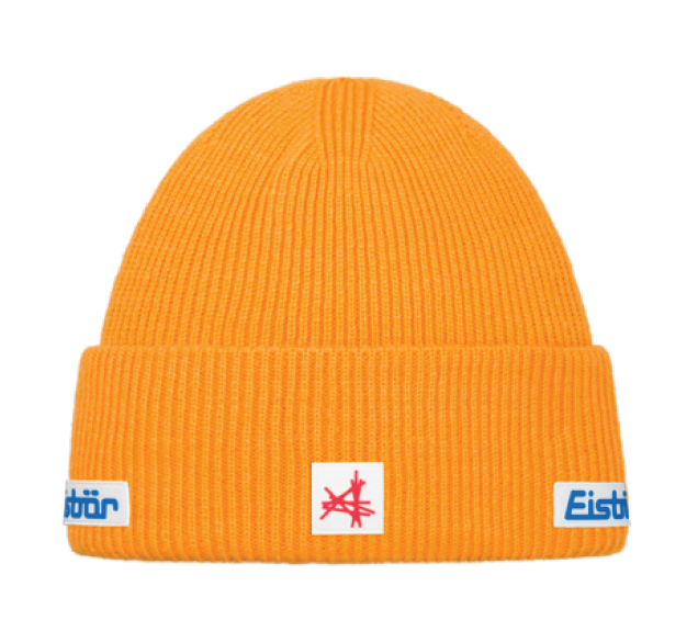 Eisbaer 